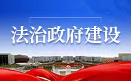 法制政府建設